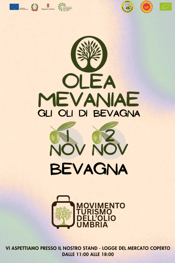 Olea Mevaniae
